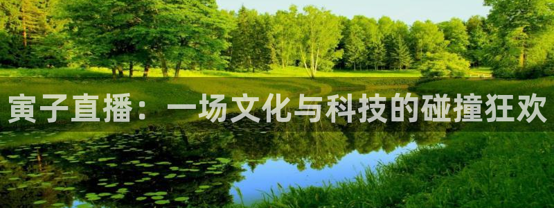 857免费直播nba：寅子直播：一场文化与科技的碰撞狂欢