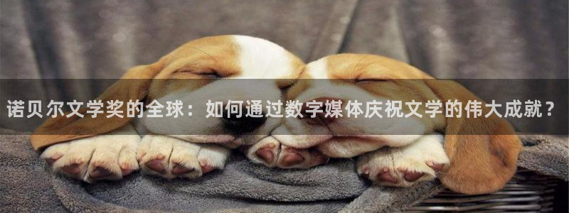 857体育直播免费播放：诺贝尔文学奖的全球：如何通过数字媒体庆祝文学的伟大成就？