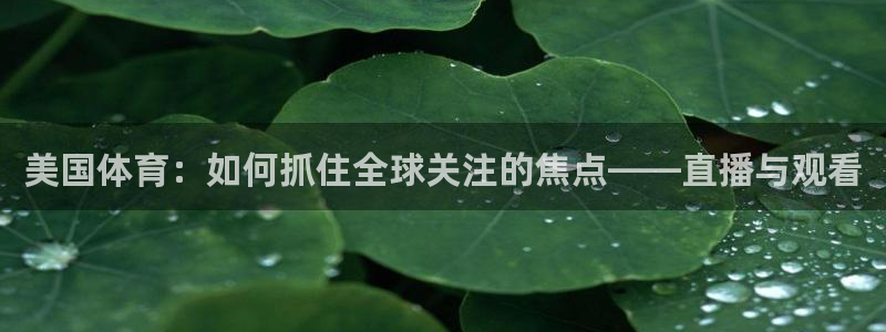 857体育直播吧：美国体育：如何抓住全球关注的焦点——直播与观看