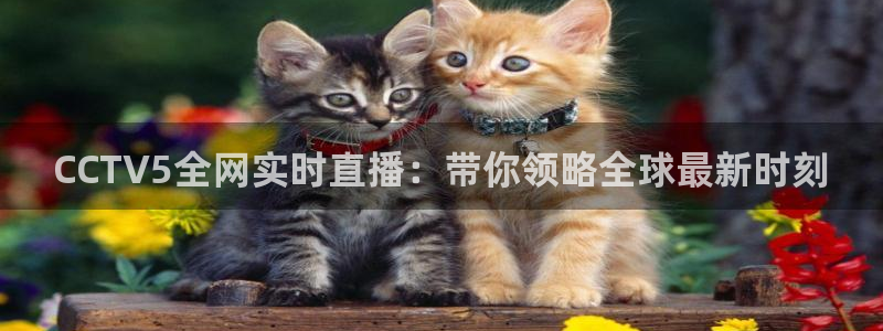 857直播足球免费观看：CCTV5全网实时直播：带你领略全球最新时刻