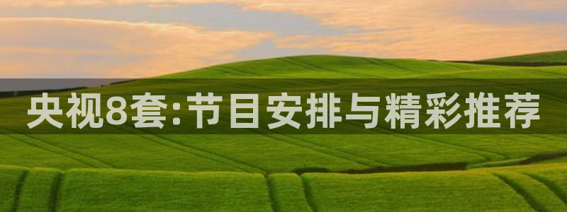 857篮球体育直播：央视8套:节目安排与精彩推荐