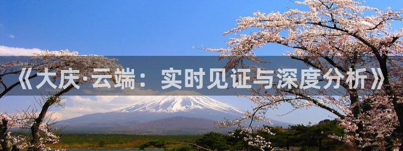 857体育直播间官网：《大庆·云端：实时见证与深度分析》