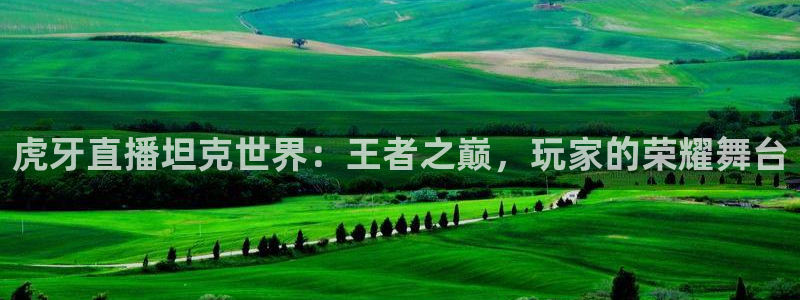 857体育篮球直播：虎牙直播坦克世界：王者之巅，玩家的荣耀舞台
