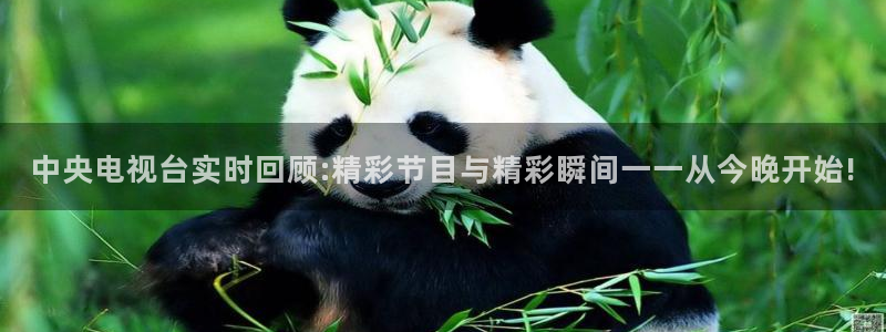 857直播nba：中央电视台实时回顾:精彩节目与精彩瞬间一一从今晚开始!