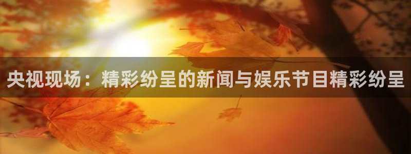 857足球直播：央视现场：精彩纷呈的新闻与娱乐节目精彩纷呈
