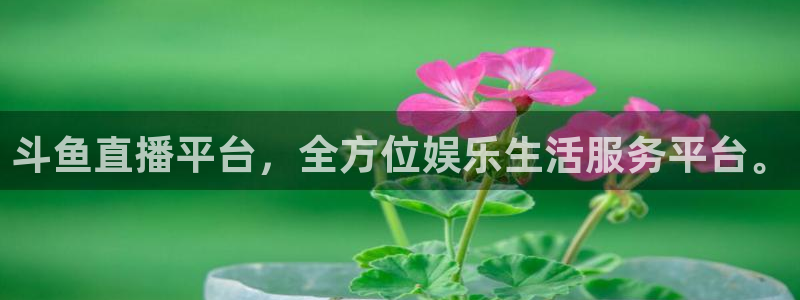 857足球体育直播：斗鱼直播平台，全方位娱乐生活服务平台。